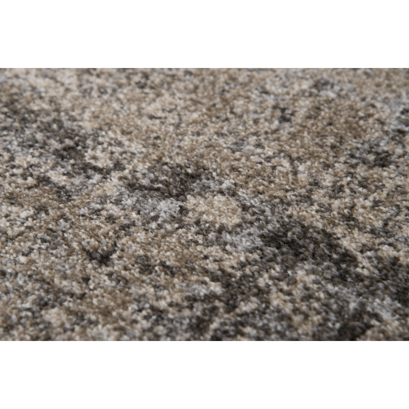 Barger Abstract Indoor Rug, Rectangle 3'11" x 5'6"