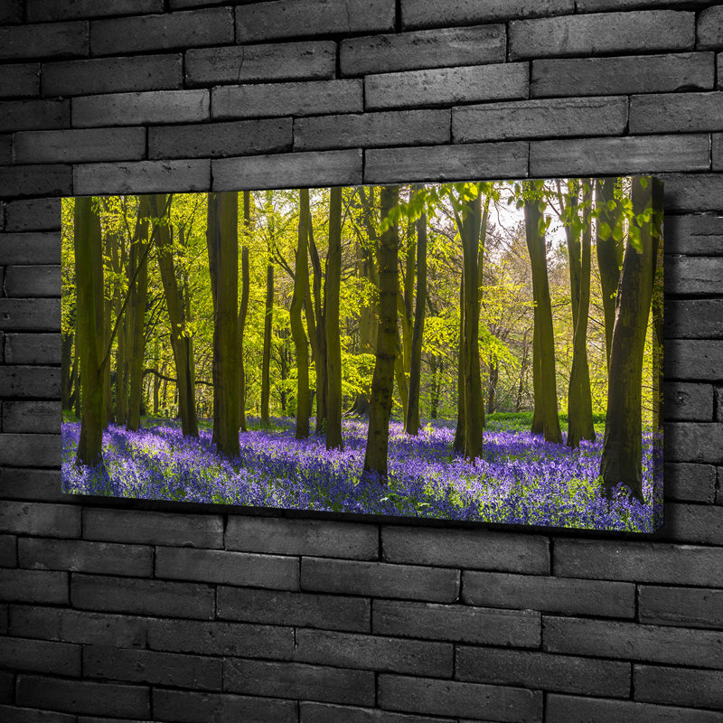 Spring Forest - Wrapped Canvas Print, 50cm H x 100cm W