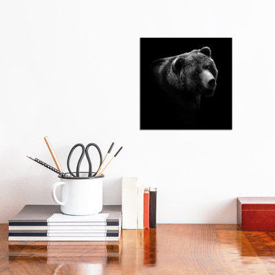 Bear In Black And White II by Lukas Holas - Wrapped Canvas Print