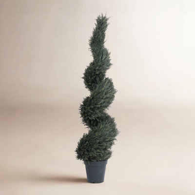 63" Topiary in Pot