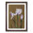 Walnut Framed selected