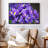 Violet Irises Canvas Print-145309866