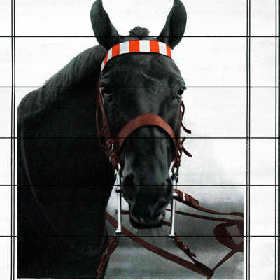 1 Piece Wall Art