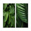 Emerald Exotic Embrace Palmscape - ensemble de 2 impressions de palmiers et palmiers-592316652