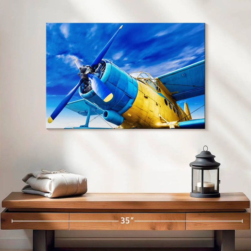 Mehar Funky Airplane, 16" H x 24" W