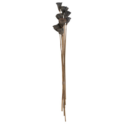 Mini branche de tige de lotus naturelle