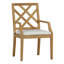 Haley Patio Dining Armchair with Cushions-38582183-38582234-70064514
