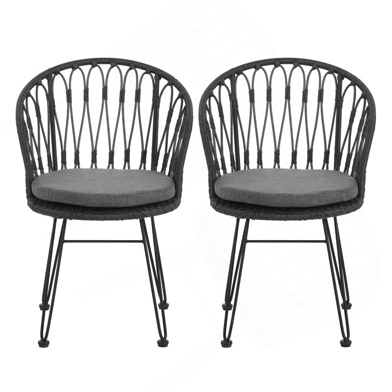 TAVON CHAIR, 2PCS avec 2 coussins, gris