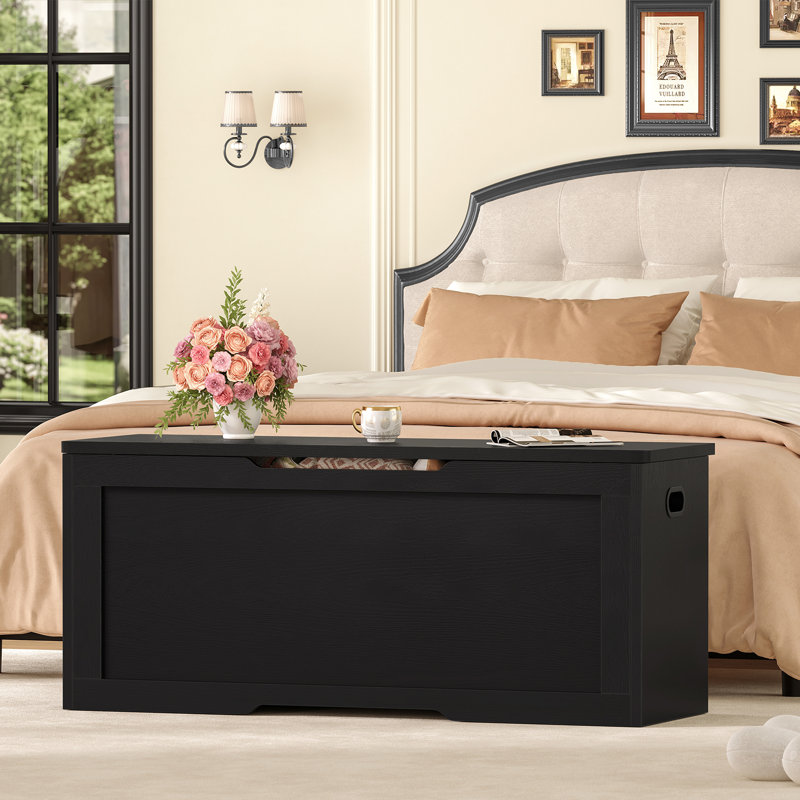 Coffre de rangement en rotin Bambina, H 19,49 po x l 47,24 po x P 15,75 po, Bois noir