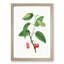 Cherry Tree by Pierre-Joseph Redoute - Picture Frame Painting Print-55536178-55536175