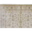 Ziegler Wool Oriental Area Rug in Beige