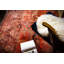 Finger Oriental Recycled P.E.T Area Rug-244635136