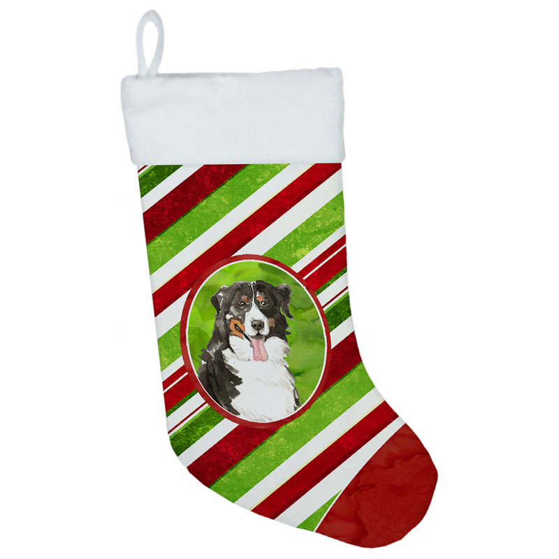 Chaussette de noël à rayures à sucre, Bouvier bernois