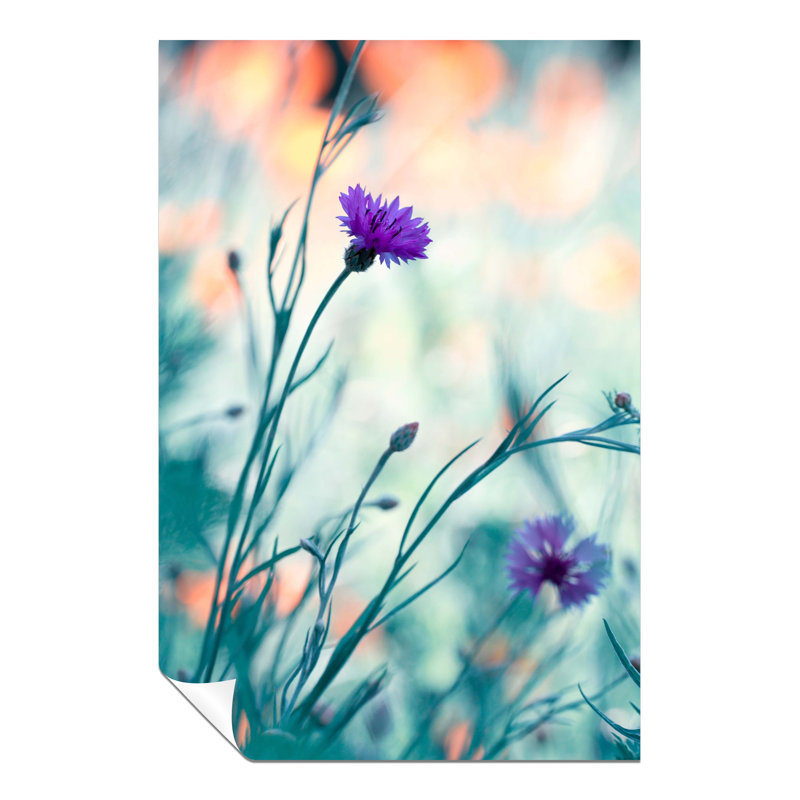 Purple Carnation Flower - No Frame Print, 31cm H x 20cm W