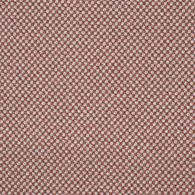 Raye Performance Fabric