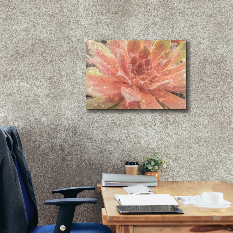 Toile épique Graffiti «Droplet Of The Desert 2» par Life BeautifuLEE, 26 po x 18 po, H 18 po x l 26 po