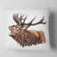 Tête de cerf - coussin imprimé animal-29884941-29884945