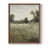 Noyer