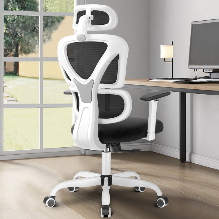 https://assets.wfcdn.com/im/84633247/resize-h755-w755%5Ecompr-r85/2468/246809520/Ergonomic+with+Headrest.jpg