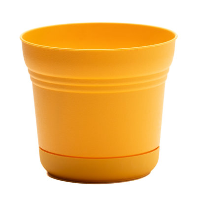 Saturn Traditional Plastic Indoor/Outdoor Round Planter with Saucer