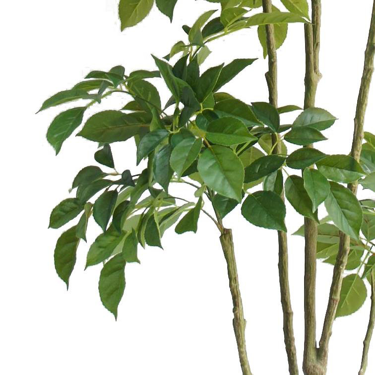Annistyn 180cm Faux Radermachera Tree in Pot