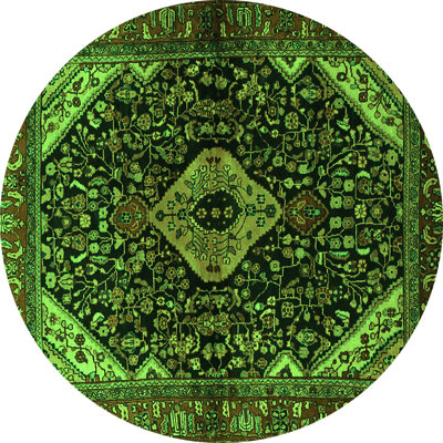 Washable Oriental Indoor Rug