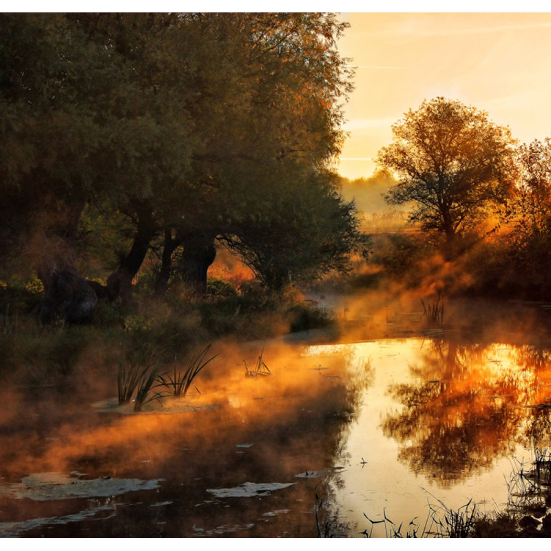 Wrapped Canvas Print, 81.28 cm H x 121.92 cm W