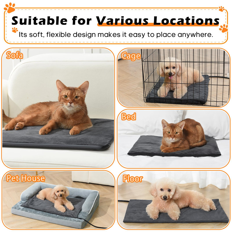 Pet Bed Cushion, 3 cm H x 70 cm W x 70 cm D