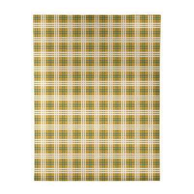 Plaid Indoor Rug