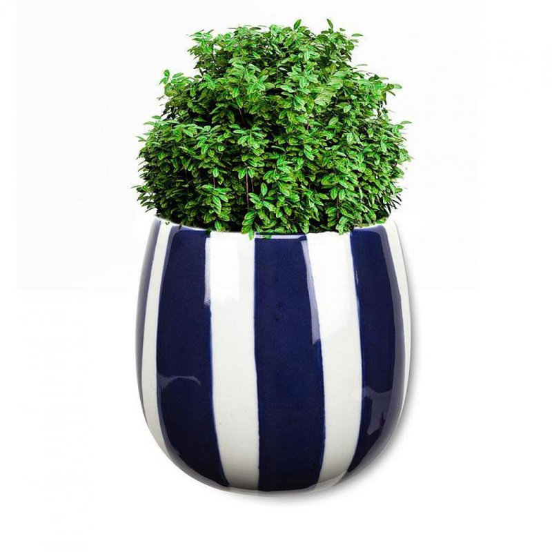 Augeron Cachepot