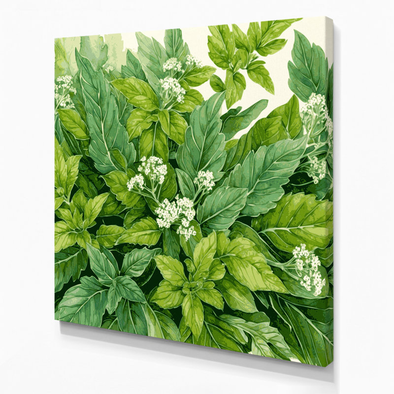 Art mural botanique sur toile vert Origan, H 12 po x l 12 po