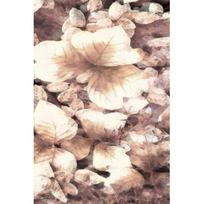Blush Shaded Leaves V by Alonzo Saunders - Graphic Art