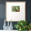 " C42 "-88074804-88463254