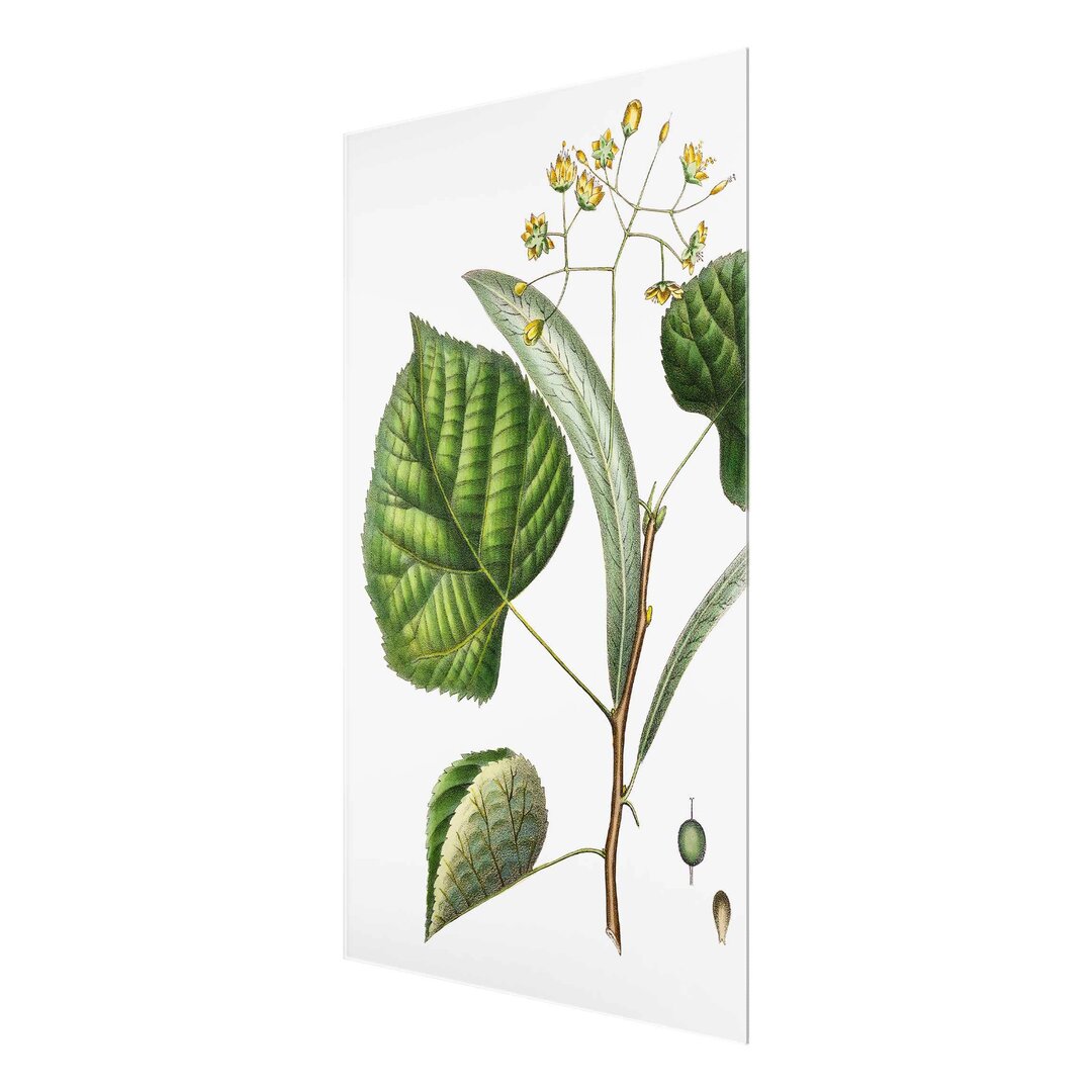 Glasbild Laub mit Blumen I