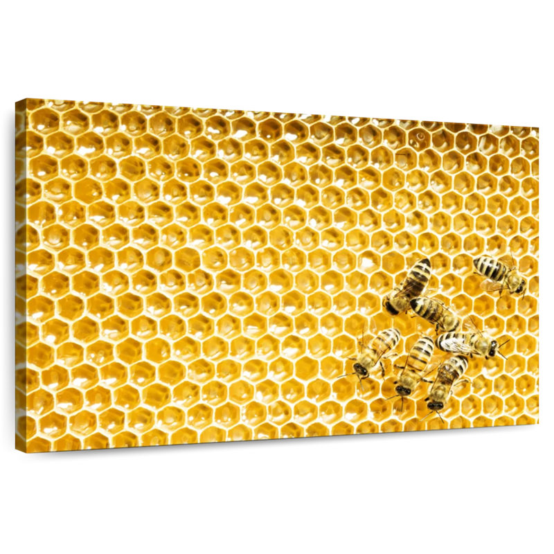 Brampt Honey Bee Cells, 8" H x 12" W
