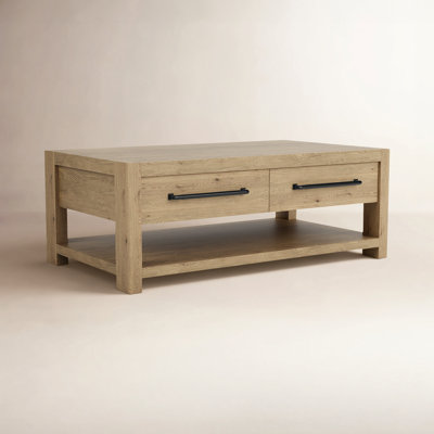 Laroche 48" Coffee Table with Storage