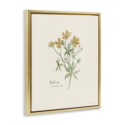«Simple Buttercup Flowers» par Cindy Jacobs