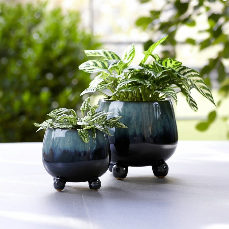 Ensemble de 2 pots à fleurs ronds et en céramique Ereka, Bleu