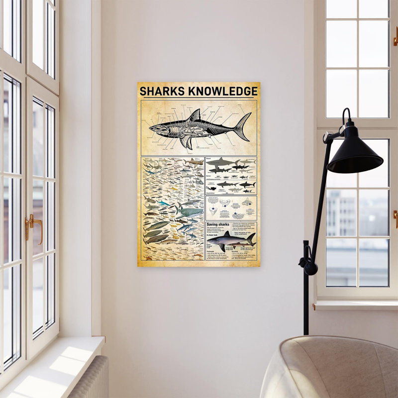 Requins, impression sur toile tendue, H 14 po x l 11 po x P 1,25 po