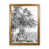 Oak Framed