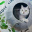 Lit rond pour chat-50510748-93925560