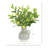 Lemon Leaves Arranged in a Ceramic Vase