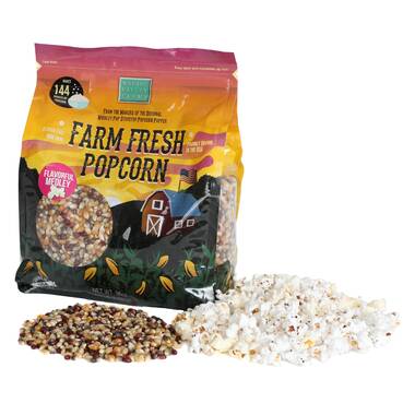 Dash Fresh Popcorn Maker  Dash recipe, Flavors, Food