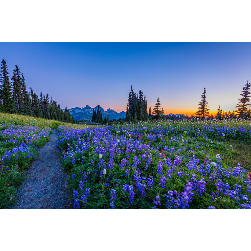 Daleville Mount Rainier by RomanKhomlyak - Wrapped Canvas Print, 30cm H x 46cm W x 3.8cm D