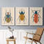 Beetle Bug I - ensemble de 3 peintures sur toile encadrées-1777886048-1777886078