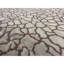 Hand-Knotted High-Quality Beige Area Rug