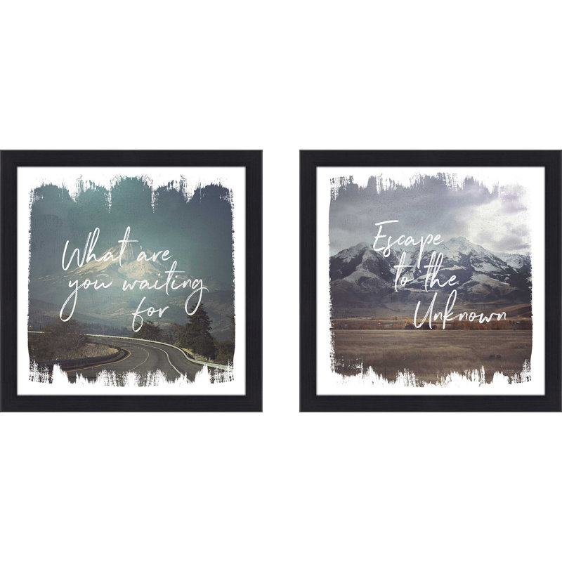 Wild Wishes III - ensemble de 2 reproductions d'art graphique, H 16,5 po x l 33 po x P 1 po, Pas de tapis