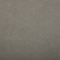 Capricorne, toile gris clair
