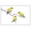 «Yellow Birds» par Thimble Sparrow - reproduction de cadre photo sur papier-770476307