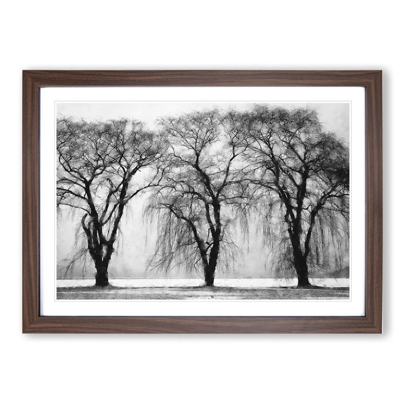 Three Trees at Winter - Framed Print, Walnut, 48cm H x 65cm W x 2cm D